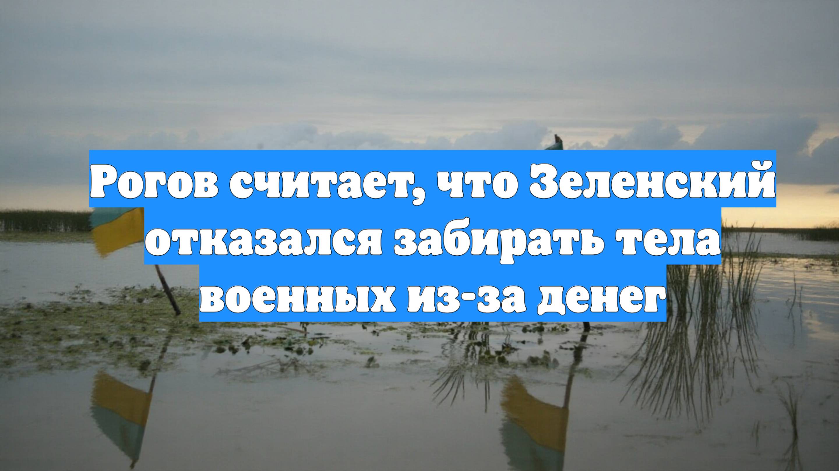 Рогов считает, что Зеленский отказался забирать тела военных из-за денег