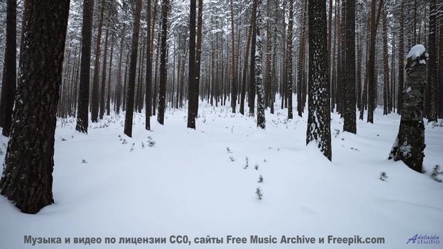 Этот саунд идеален для путешествий по планете - Cant Be Helped -- NADINE -- Live at WFMU for Sophist