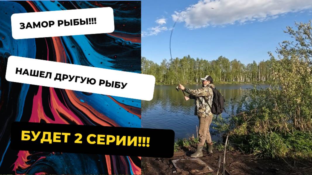 Щука на спиннинг!!! Замор рыбы в подмосковье!!! Нашел не ту рыбу!!!