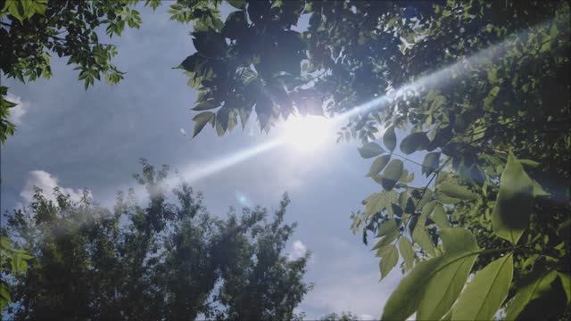 Небо вижу.