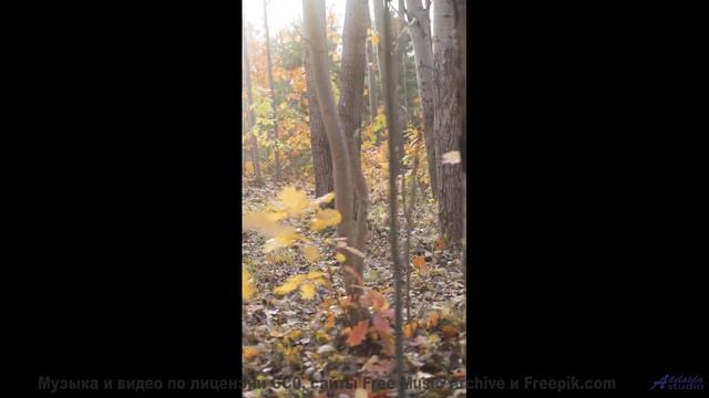 Прогуляйтесь под эту мелодию - и день станет незабываемым! - Check Them In -- Ema Grace -- Unnamed a