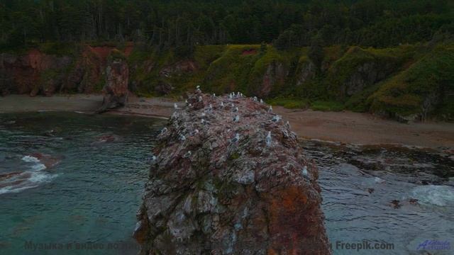 Сердце отдыхает под такие виды и ритмы - Everybody Keep Running (EDM Instrumental) -- Zight -- Unna