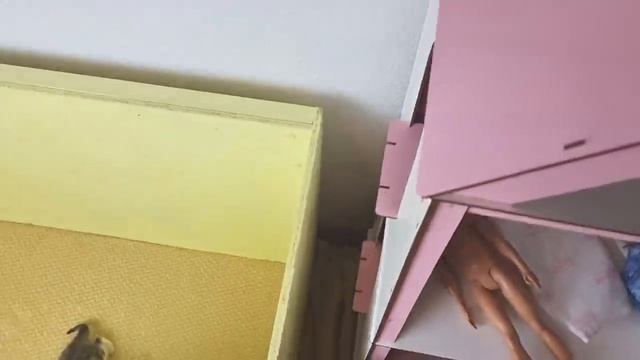 Мама кошка напала и избила папу кота и больше не подпускает его к котятам.