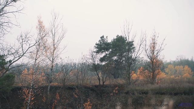 Саунд окутывает, как туман над лесами - Yesterday -- HoliznaCC0 -- Lo-fi And Chill