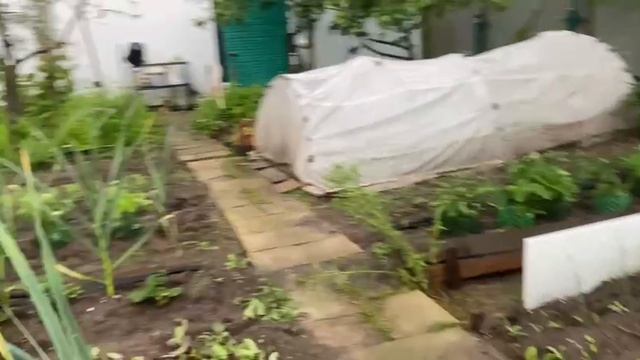 Хорошо, что я поставила подставки под клубнику