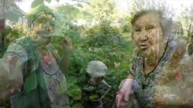 Все это время на РЕН-ТВ показывали правду. Инопланетяне на огороде у бабушки