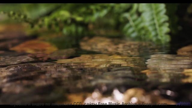 Послушай эта музыка усиливает каждое мгновение - An Early Morning Deep Breath -- Kirk Osamayo -- Sea