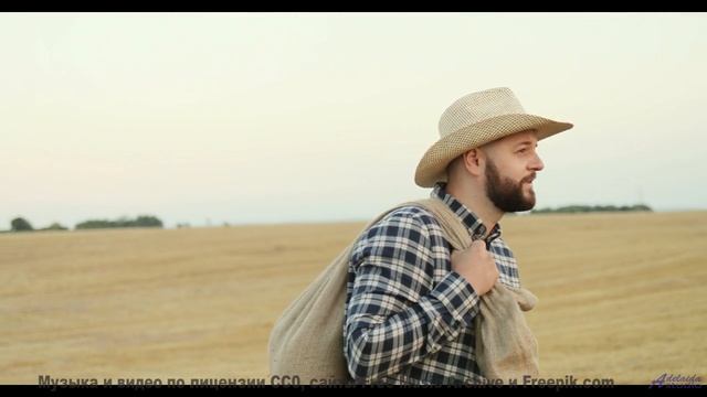 Камера ведёт туда, где заканчиваются слова и начинается звук - The Elephant + the Dove -- One Man Bo