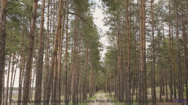 Этот клип - как отпуск для разума и слуха - Skinny Fruit Dip (tropical holidays) -- Keshco -- Filmma