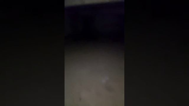 Голубые дали, 5