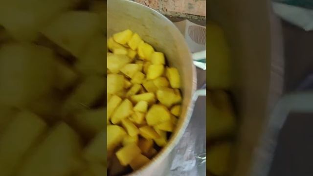 2025-06-08-144216547.mp4