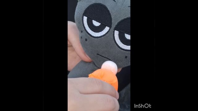бешеная собака