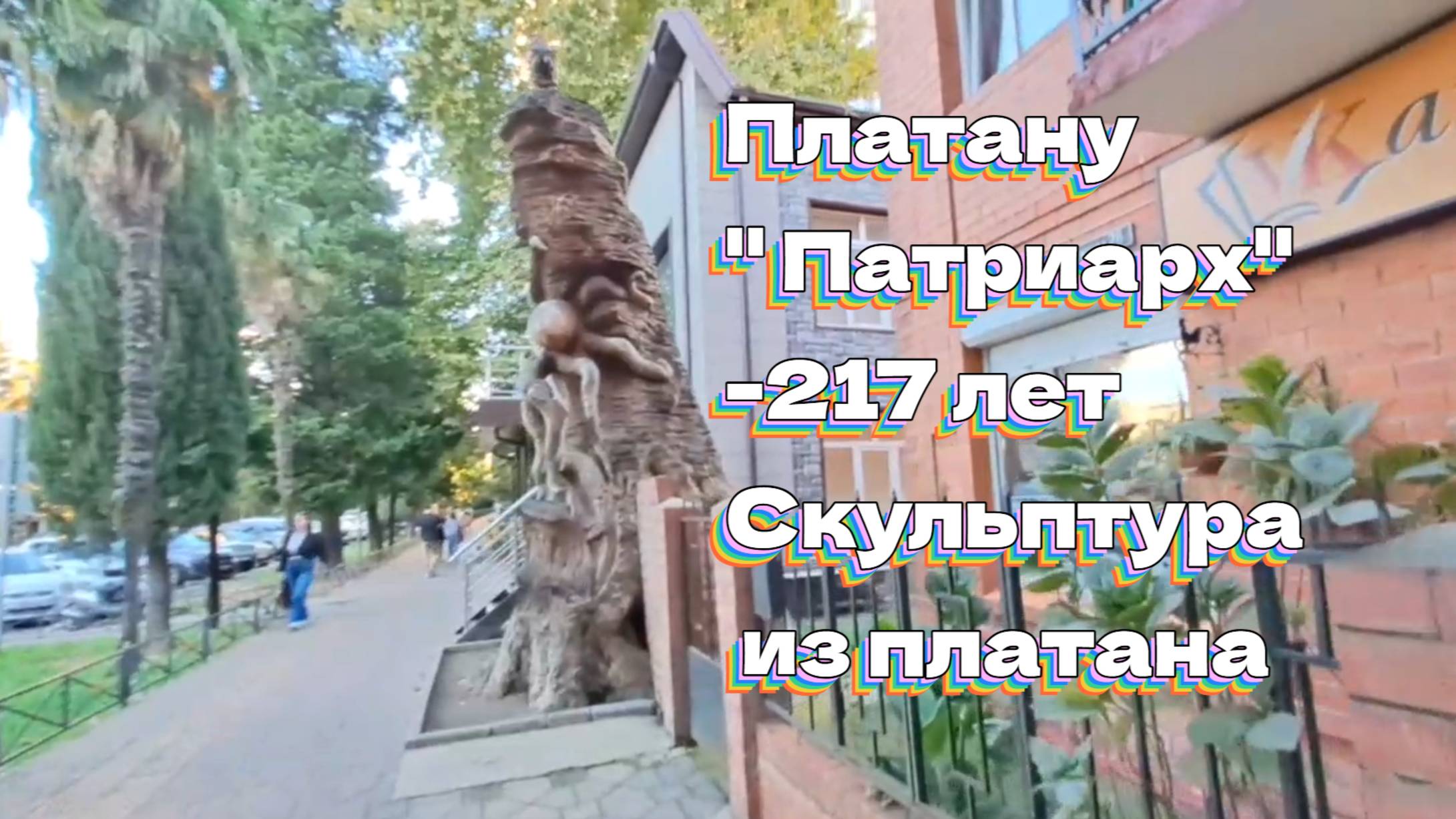 Платану "Патриарх" -217 лет). Скульптура из платана