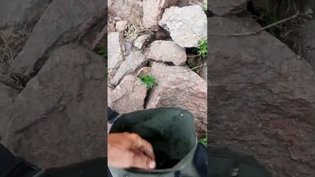 1000067310.mp4