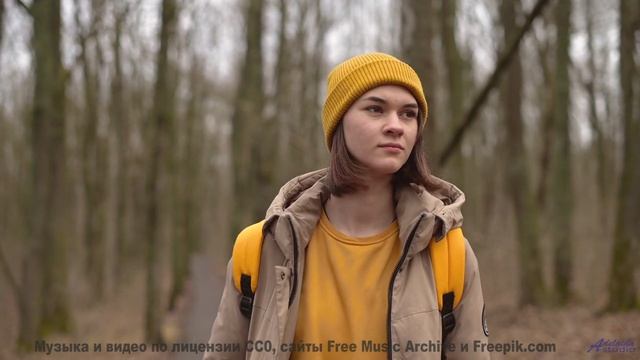 Что скрывает этот туман - Smiling Cars -- Crowander -- Commercial 30 Seconds (filmtv music)