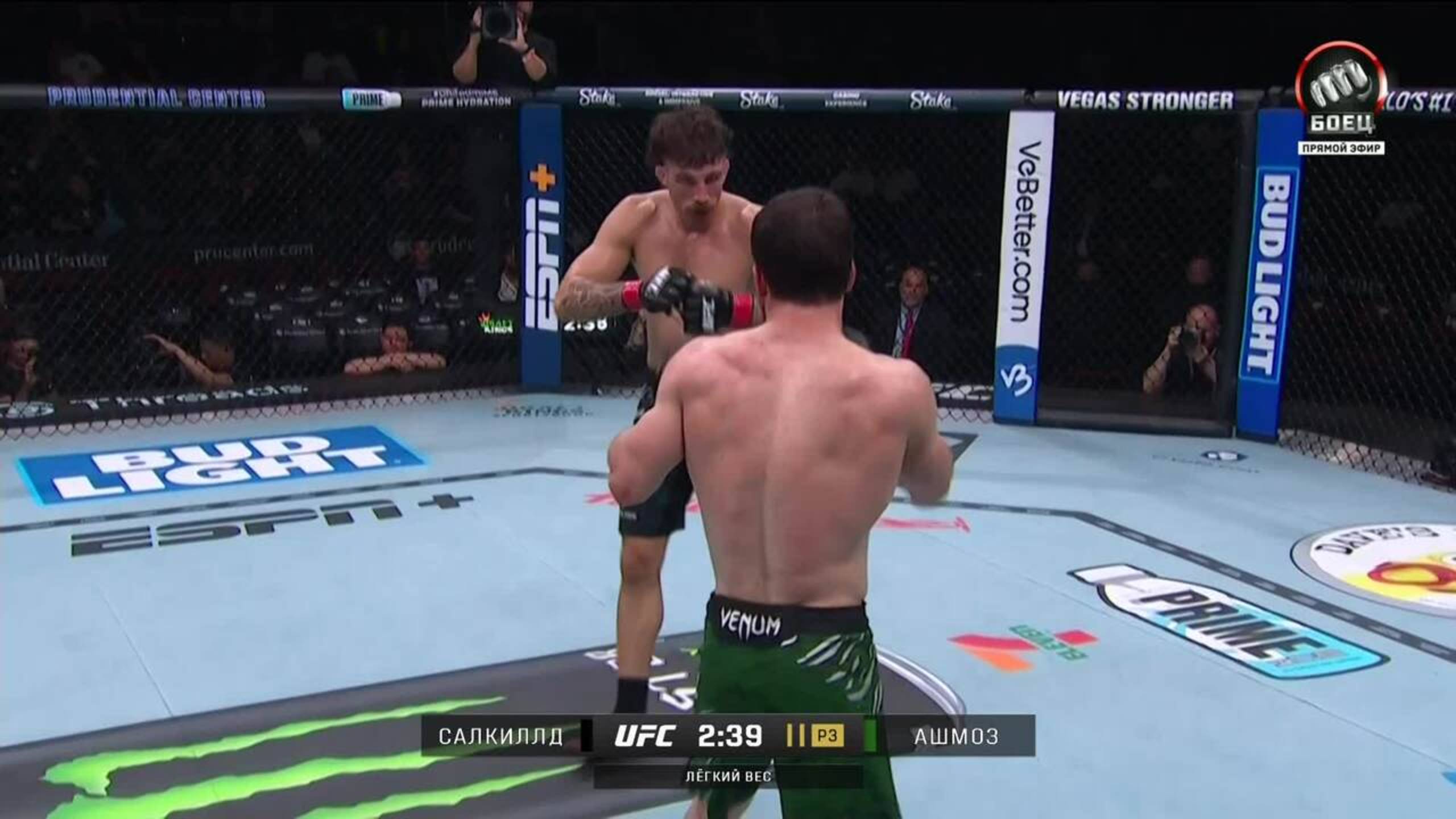Куиллан Салкиллд победил Янала Ашмоза (видео). UFC 316