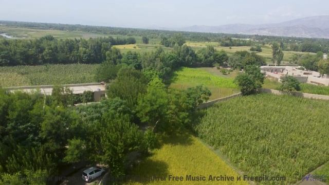 Звуки, программирующие ваше будущее - наука или предопределение - Ranch Strut -- Ranch House -- The