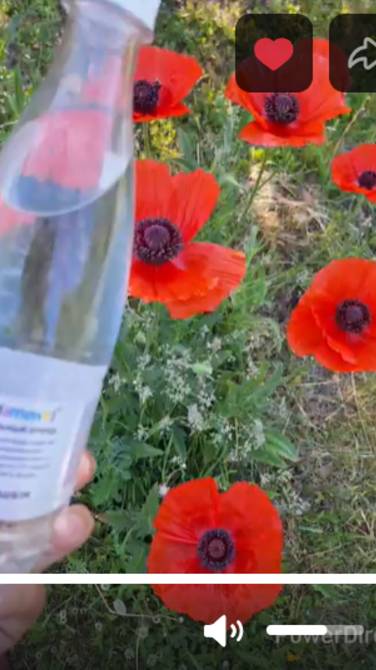 В цветущем саду с водой «dimmel»! Сюжет клиента нашей компании Раи Ц.