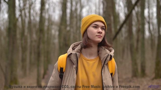 Звук, который слышат только обладатели чипов - а вы - Pennies -- Ketsa -- Summer With Sound