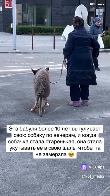 vkclips_20250606021736