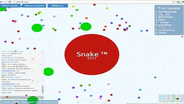 играем в Чашку Petri Dish со Snake