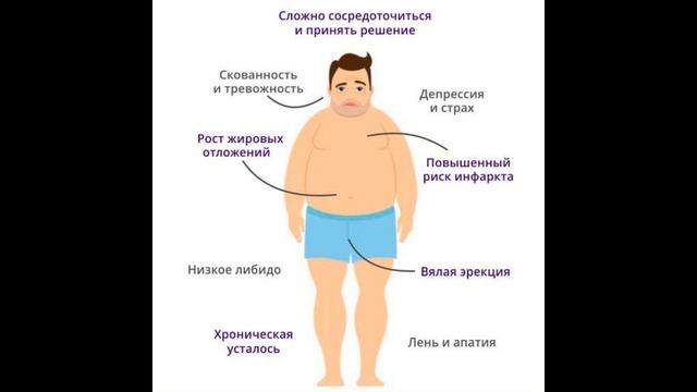 Людьми управляют гормоны. Тестостерон у мужчин