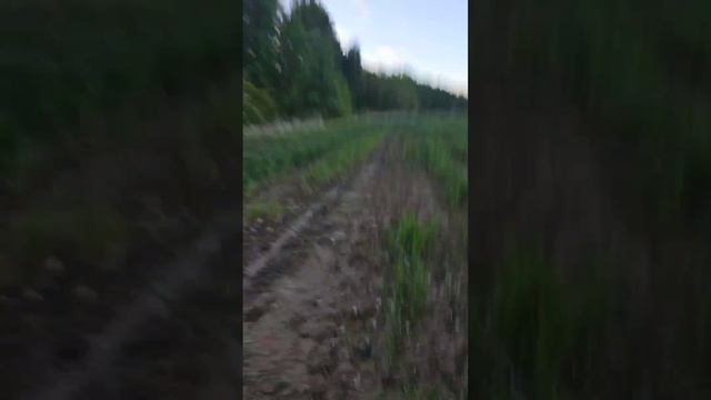 1000073767.mp4