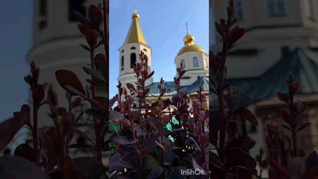 С Праздником Святой Троицы 08. 06. 2025г.