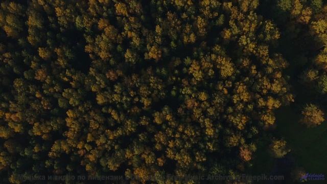 Музыка, которую НЕЛЬЗЯ слушать ночью! - Dust -- Tim Woulfe -- A House Is A Holding