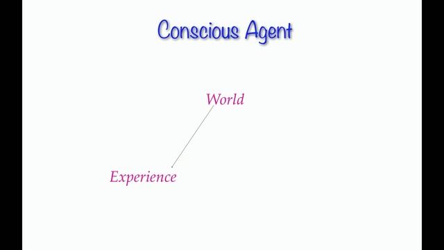 Тайна свободы воли Дональда Хоффмана