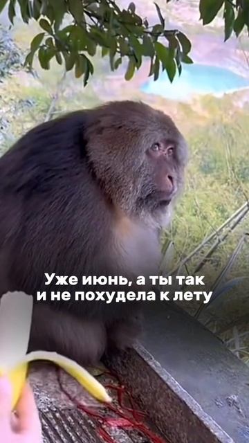 Открываем сезон худеем к новому году?