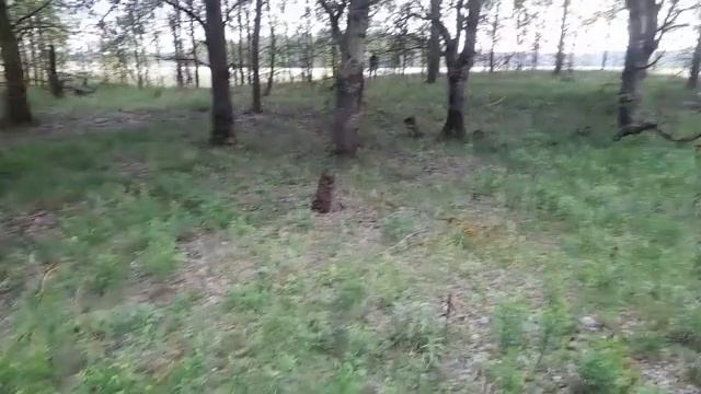 Не рыбалка , не грибалка.