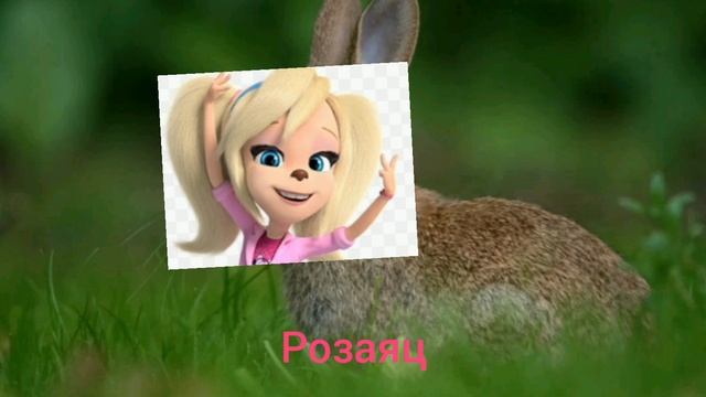 Барбоскны + ШИЗА =