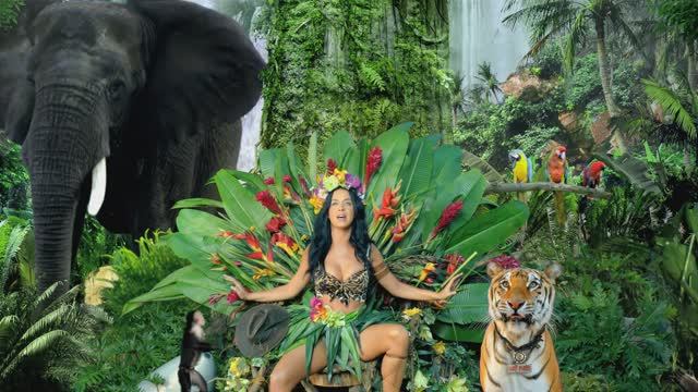 Katy Perry - Roar