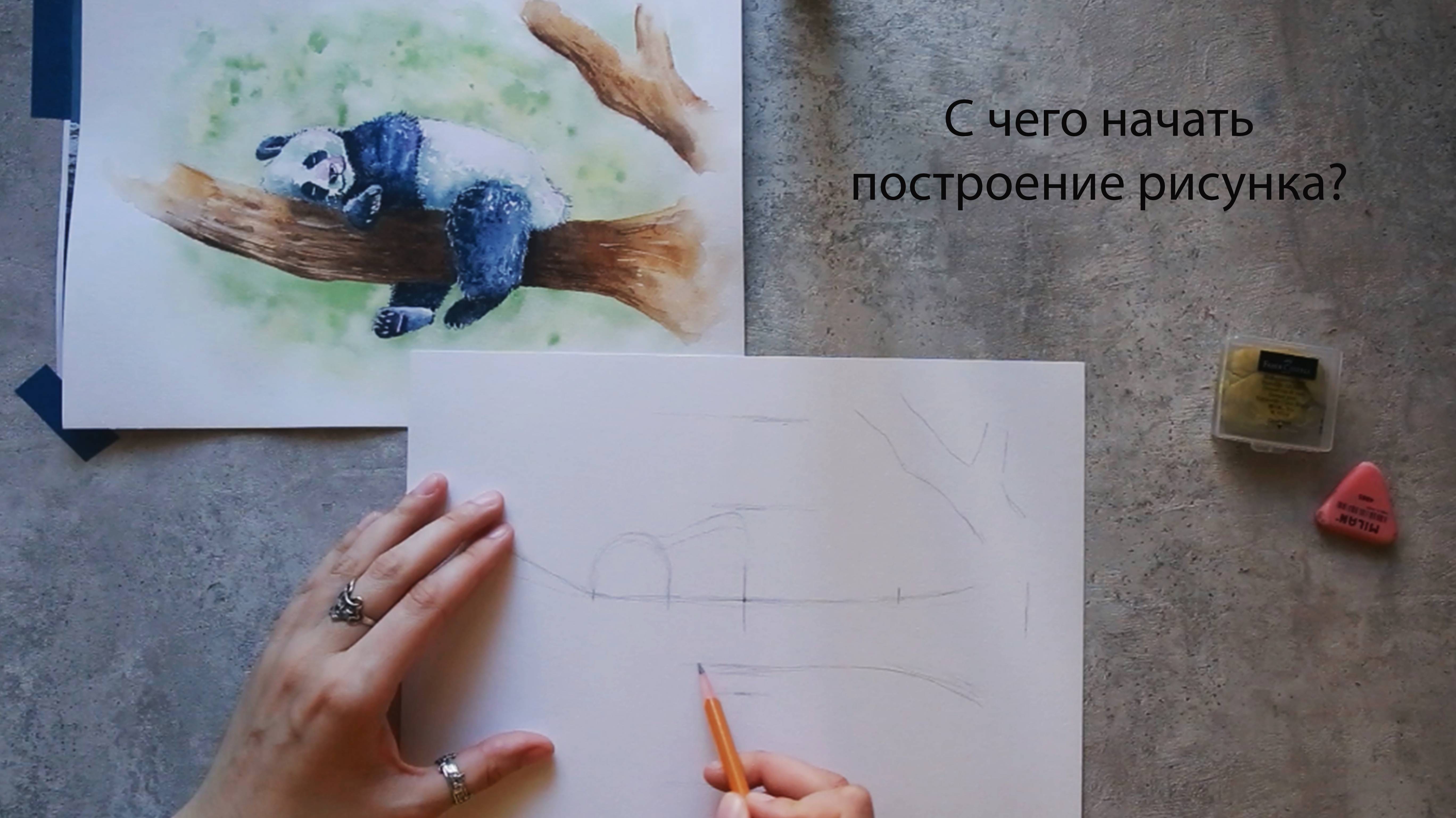 С чего начать построение рисунка карандашом