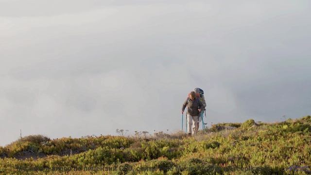 Музыка делает каждый холм и реку бесконечными - Leave Reminders -- Derek Clegg -- Random Calls