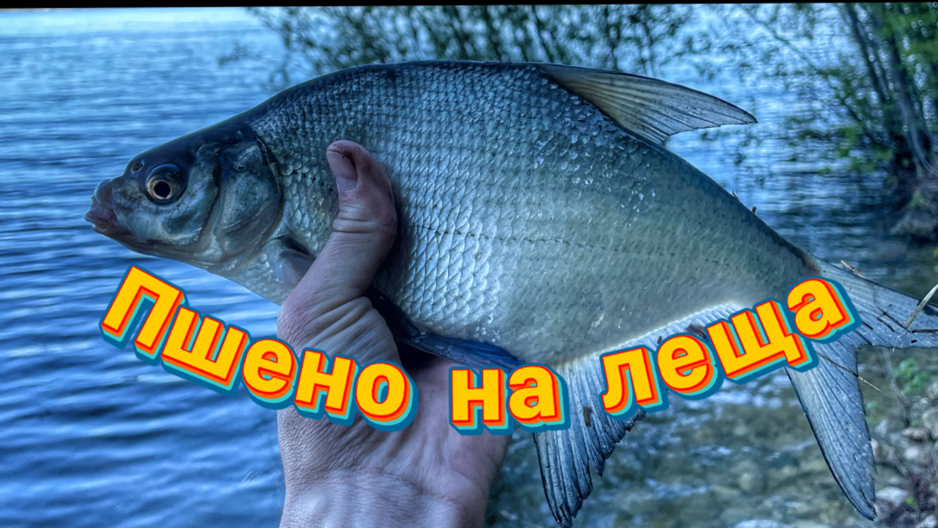СЕКРЕТНАЯ ПШЕНКА на Фидер!
Ловит ВСЁ