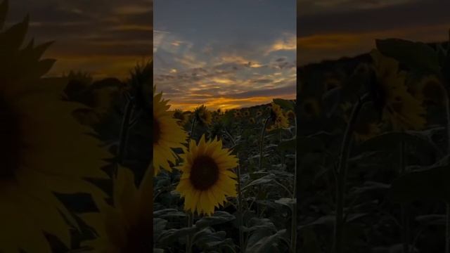 вечность