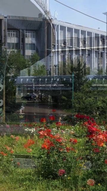 Утро Алматы. 08.06.2025