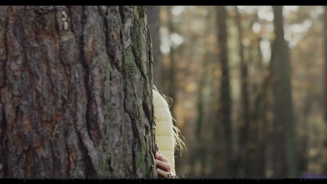 Кадры природы, обработанные квантовым компьютером - реальность или фантастика - Meaningful (Connecti
