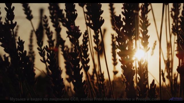 В голове остаётся только один вопрос - как такое возможно - A Secret Garden -- M33 Project -- Breath