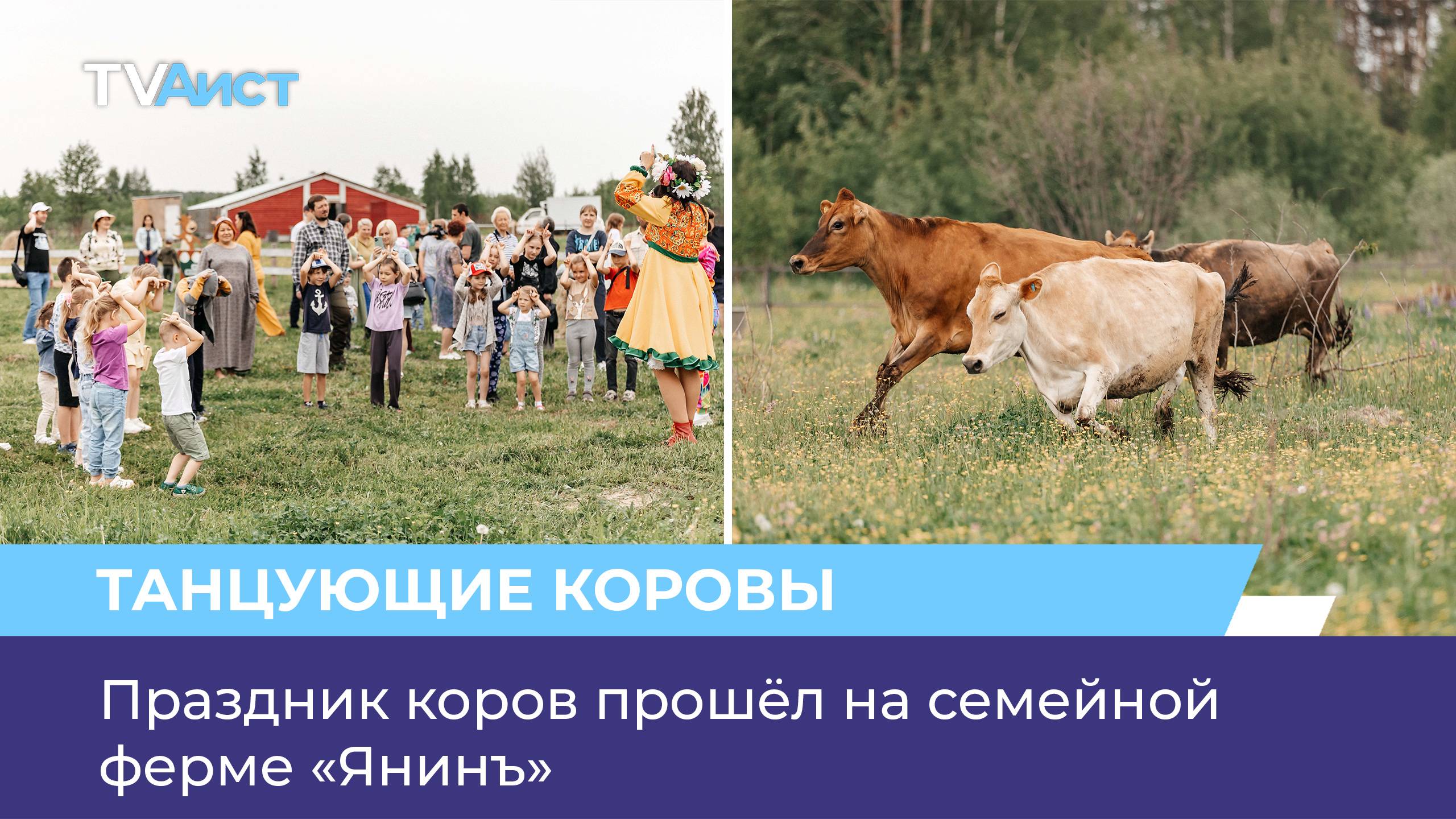Праздник коров прошёл на семейной ферме «Янинъ»