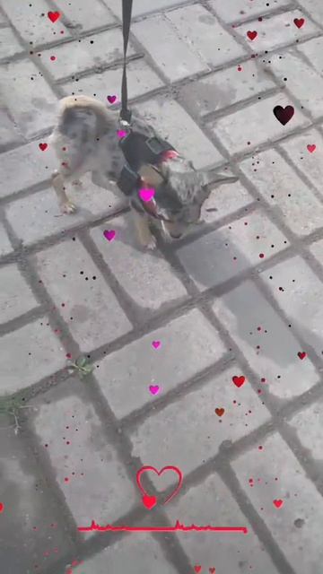 1000041042.mp4