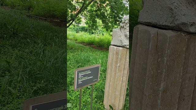 Каменные головы именитых деятелей
