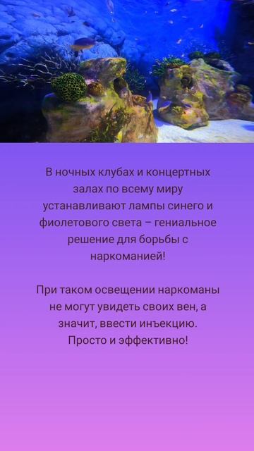 Лампы против наркотиков 🤗💡🧞♂️