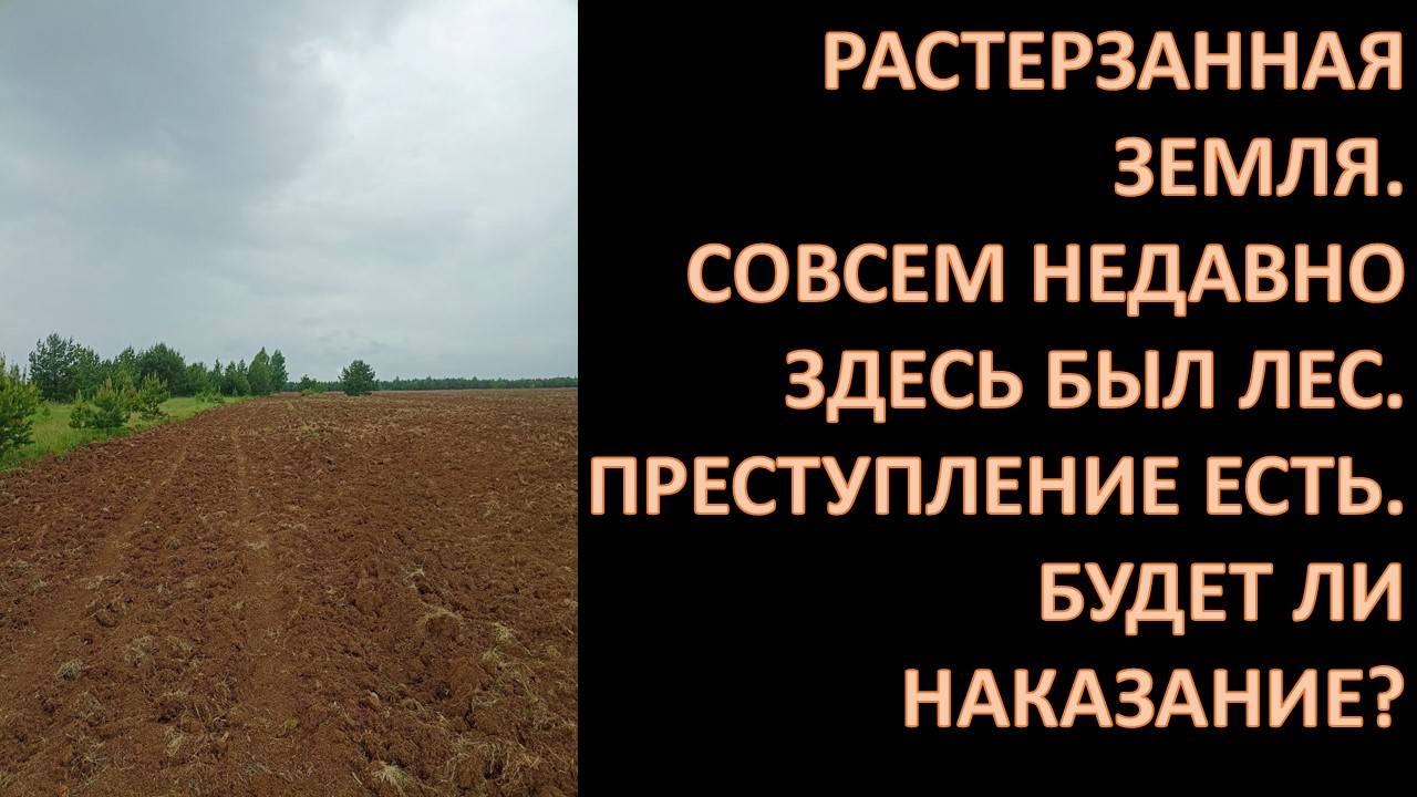 Есть ли у нас будущее?