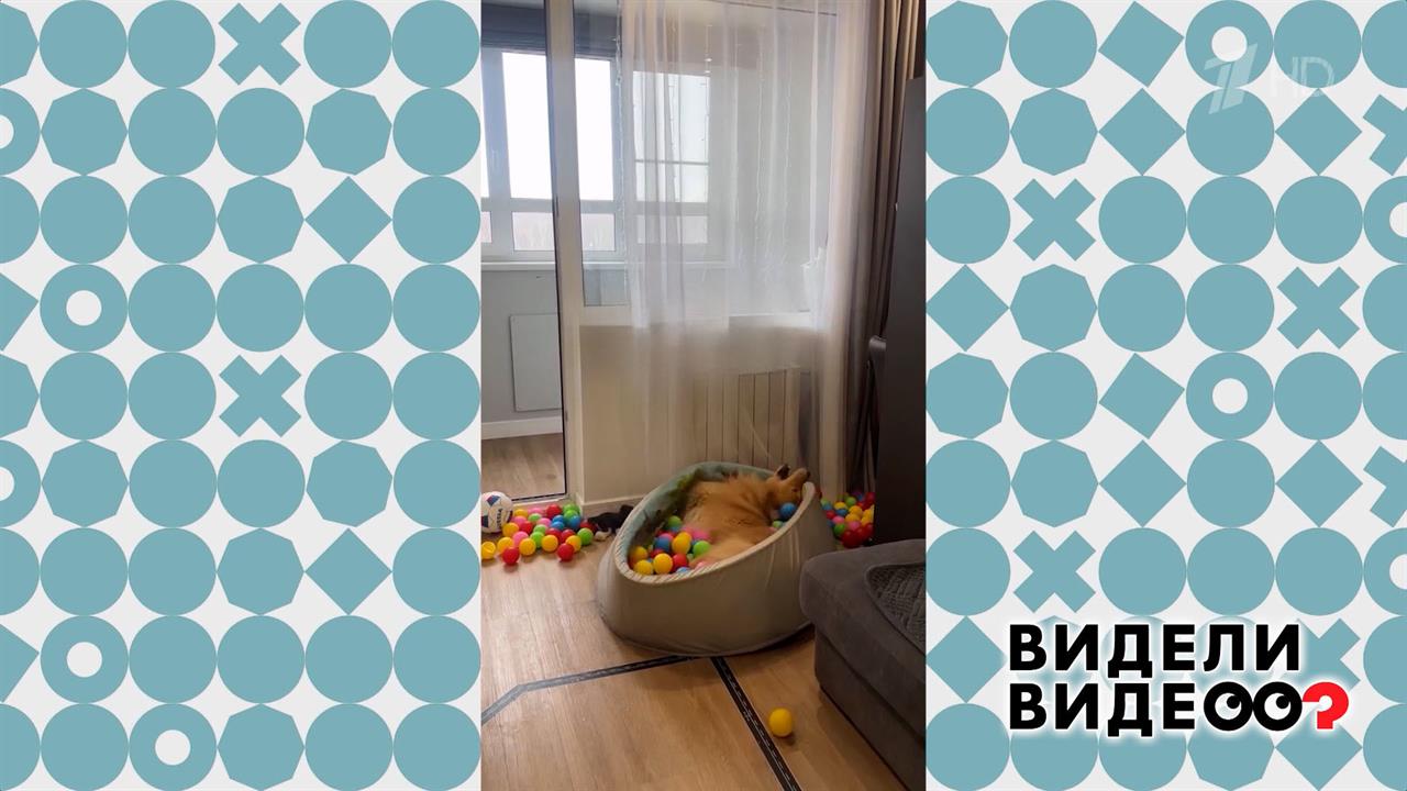 Бассейн не по размеру. Видели видео? Фрагмент выпуска от 08.06.2025