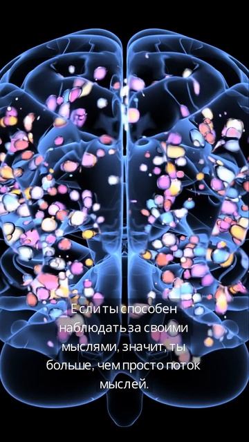 Отключи автопилот сознания: кто ты на самом деле?