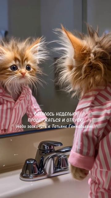 Когда осталась неделя до отпуска #юмор #шуткипсихотерапевта #психотерапевтбогданова #психолог #кпт