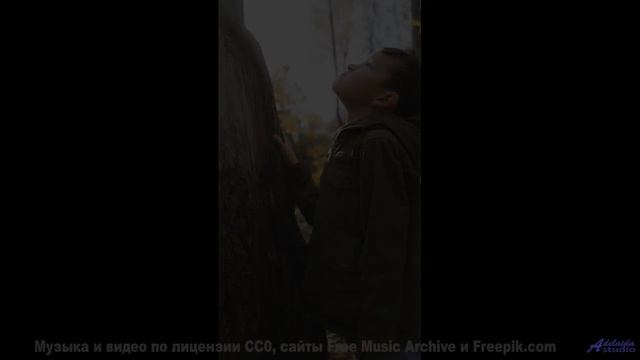 Этот трек перевернёт представление о природе - PointsOfView. -- Ketsa -- As Above So Below
